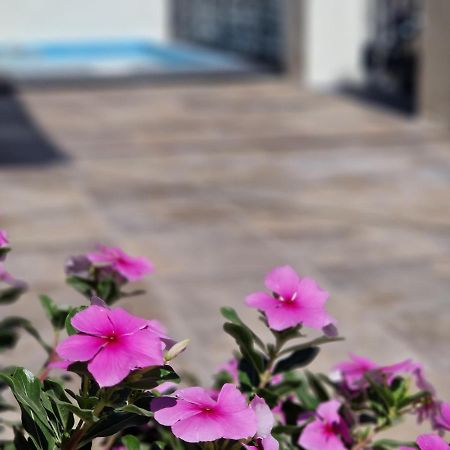 Villa Del Parque Flats Balneario De Pina à Málaga Extérieur photo