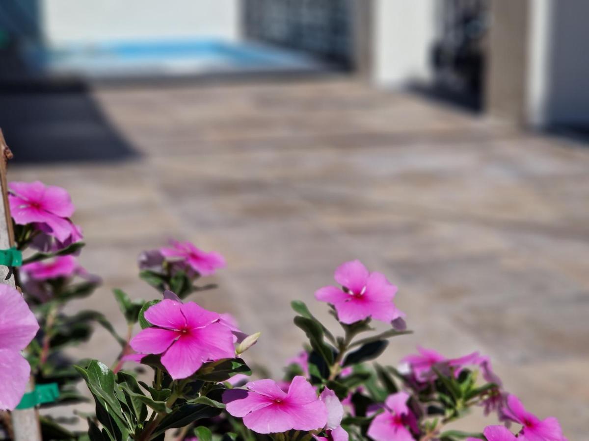 Villa Del Parque Flats Balneario De Pina à Málaga Extérieur photo